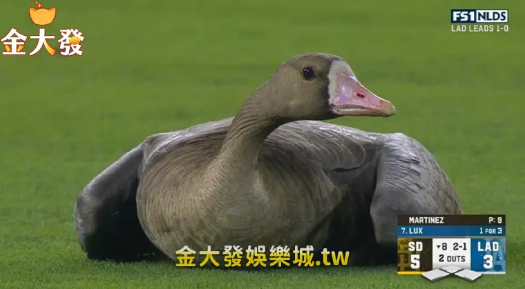 NLDS G2:TU娛樂城-玩運彩棒球實時賽況比分賽後分析 玩運彩棒球實時賽況比分